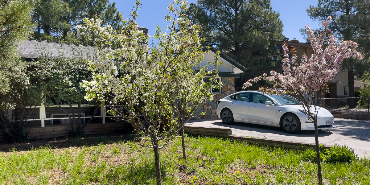 Flagstaff Cherry Hill Haus